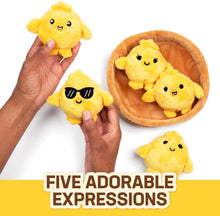 Load image into Gallery viewer, Emotional Support Chickies